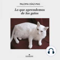 Lo que aprendemos de los gatos