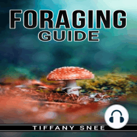 FORAGING GUIDE