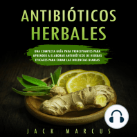 Antibioticos Herbales
