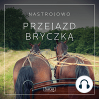 Nastrojowo - Przejazd Bryczką