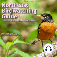 Northeast Birdwatching Guide