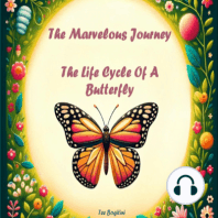 The Marvelous Journey