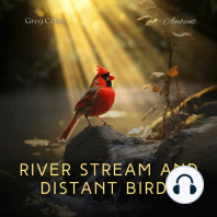 River Stream and Distant Birds