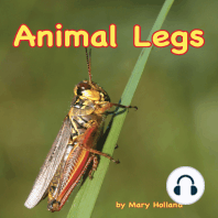 Animal Legs