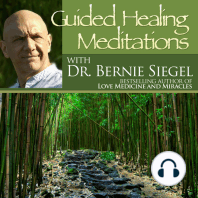 Guided Healing Meditations