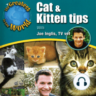 Cat & Kitten Tips