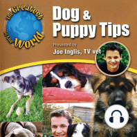 Dog & Puppy Tips
