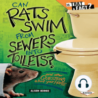 Can Rats Swim from Sewers into Toilets?