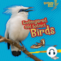 Endangered and Extinct Birds