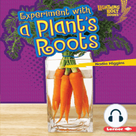 Experiment with a Plant's Roots