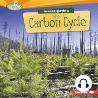 Investigating the Carbon Cycle