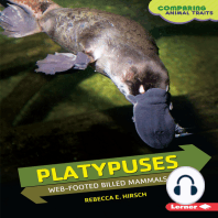 Platypuses