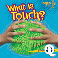 What Is Touch?