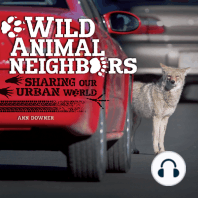 Wild Animal Neighbors