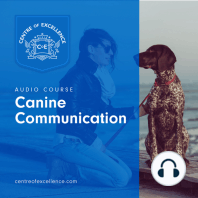 Canine Communication
