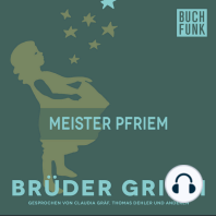 Meister Pfriem