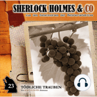 Sherlock Holmes & Co, Folge 23