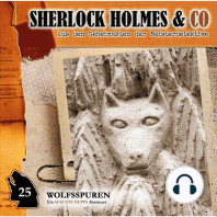 Sherlock Holmes & Co, Folge 25