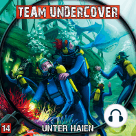Team Undercover, Folge 14