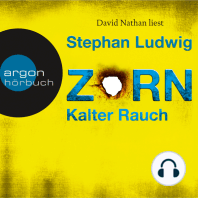 Kalter Rauch - Zorn, Band 5 (Ungekürzte Lesung)