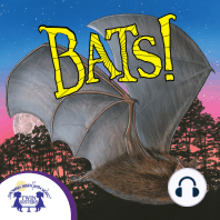 Know-It-Alls! Bats