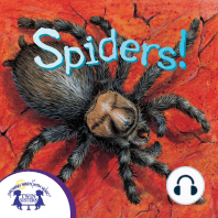 Know-It-Alls! Spiders