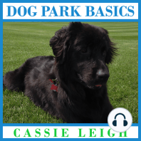 Dog Park Basics
