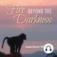 Fire Beyond the Darkness