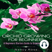 Orchid Growing for Beginners