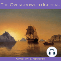 The Overcrowded Iceberg