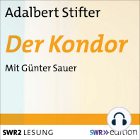 Der Kondor