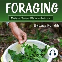 Foraging