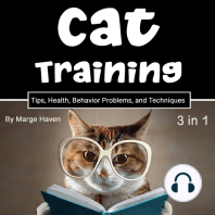 Cat Training