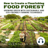 How to Create a Flourishing Food Forest