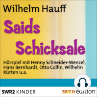 Saids Schicksale