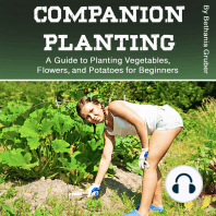 Companion Planting