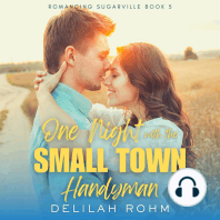 One Night With the Small Town Handyman