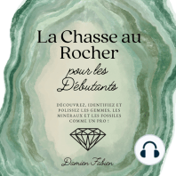 La Chasse au Rocher pour les Débutants