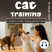 Cat Training