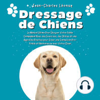 Dressage de Chiens