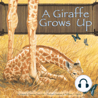 A Giraffe Grows Up