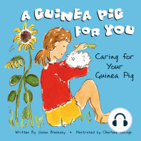 A Guinea Pig for You