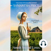Amish Second Loves