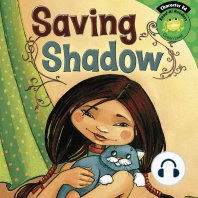 Saving Shadow