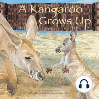 A Kangaroo Grows Up