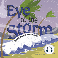 Eye of the Storm