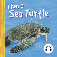 I Am a Sea Turtle