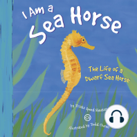 I Am a Sea Horse