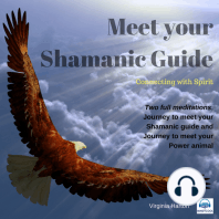 Meet Your Shamanic Guide