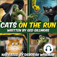 Cats On The Run